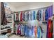 Walk-in closet with white shelving for clothing, shoes, and accessories at 841 E Farmers Ln, Queen Creek, AZ 85140