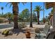 A charming front yard view from the house's patio, showcasing desert landscaping and mature palm trees along a quiet street at 932 Leisure World --, Mesa, AZ 85206