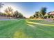 Scenic greenbelt with mature trees lining a walking path, offering a serene outdoor space for residents at 1142 E Mayfield Dr, San Tan Valley, AZ 85143