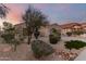 Landscaped front yard with mature trees provides shade and enhances the curb appeal of this home at 17562 W Desert Sage Dr, Goodyear, AZ 85338