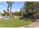 Backyard showcasing the pool, lush lawn, and perimeter of trees at 19010 N 35Th Way, Phoenix, AZ 85050