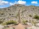 Picturesque desert hiking trail showcasing natural terrain and scenic views for outdoor enthusiasts at 20453 W Daniel Pl, Buckeye, AZ 85396