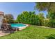 Lush backyard with a sparkling pool, surrounded by well-manicured turf and privacy hedges at 2444 S Noche De Paz --, Mesa, AZ 85202