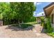Backyard featuring a hammock and a beautiful, shady tree at 2616 S El Dorado --, Mesa, AZ 85202