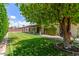 Lush backyard featuring a covered patio, well-maintained lawn, and mature trees at 2616 S El Dorado --, Mesa, AZ 85202
