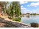 Scenic view of the community lake featuring lush greenery and walking paths at 2616 S El Dorado --, Mesa, AZ 85202