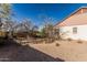 The backyard features desert landscaping and a mature tree at 6032 W Grovers Ave, Glendale, AZ 85308