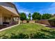 Spacious backyard featuring a covered patio, green lawn, and mature trees at 7231 W Lone Cactus Dr, Glendale, AZ 85308