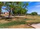 Community park featuring a sand volleyball court and lush green space with mature shade trees at 7231 W Lone Cactus Dr, Glendale, AZ 85308