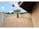 Home backyard features a gravel landscape, palm trees, and a border wall at 7439 E Ed Rice Ave, Mesa, AZ 85208