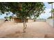 Backyard displaying a fruit tree, covered patio, gravel landscape, and privacy wall at 7439 E Ed Rice Ave, Mesa, AZ 85208