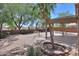 Backyard featuring desert landscaping, an ornamental tree, and covered patio at 1563 E Peregrine Trl, Casa Grande, AZ 85122