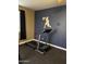 Exercise room featuring a treadmill, basketball silhouette and blue accent wall at 2041 E Palm Beach Dr, Chandler, AZ 85249