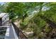 Lush backyard view with mature trees, a glimpse of the pool, and fencing at 3186 E Stella Ln, Phoenix, AZ 85016