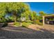 Manicured backyard featuring lush greenery, mature trees, and a cozy covered patio area for outdoor relaxation at 32311 N Cat Hills Ave, San Tan Valley, AZ 85144