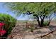 Backyard patio showcasing desert plants, brick walkway, mature trees, seating area, and desert views at 32516 N 68Th Pl, Scottsdale, AZ 85266