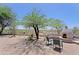 Relaxing backyard space with brick patio, outdoor fireplace, mature tree, and desert landscaping features at 32516 N 68Th Pl, Scottsdale, AZ 85266