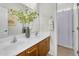 Bathroom featuring double sink vanity with wood cabinets, large mirror and decorative plant at 3859 N El Sereno St, Mesa, AZ 85207