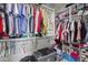 Walk-in closet with built-in shelving and ample storage space for clothes at 43935 W Sagebrush Trl, Maricopa, AZ 85138