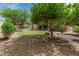 Serene backyard featuring desert landscaping, green lawn, mature trees, and a covered patio, perfect for outdoor enjoyment at 5232 N 186Th Dr, Litchfield Park, AZ 85340