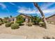 Private backyard with desert landscaping, offering a serene and low-maintenance retreat at 6621 S Coral Gable Dr, Chandler, AZ 85249