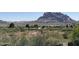 Wide angle shot of desert landscape with local plants and distant mountains against a clear sky backdrop at 829 W Spray St, Superior, AZ 85173