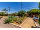 Lush backyard with a sparkling pool, gardening area, and charming seating area, ideal for outdoor enjoyment at 9623 N 34Th Pl, Phoenix, AZ 85028