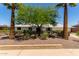 Charming single-story home with a desert landscape and two mature palm trees at 9623 N 34Th Pl, Phoenix, AZ 85028