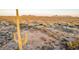 Desert landscape featuring a saguaro cactus and scenic views of the surrounding mountains and desert vegetation at 9753 E Suncrest Rd, Scottsdale, AZ 85262