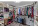 Organized walk-in closet with hanging rods and shelving for clothes and accessories at 1231 W Mediterranean Dr, Gilbert, AZ 85233