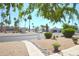 Neighborhood view shows palm trees, road, sidewalks, desert landscaping and single story homes at 14620 N Yerba Buena Way # B, Fountain Hills, AZ 85268