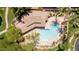 Overhead view of resort-style pool with lounge chairs and mature palm trees with a tranquil pond nearby at 1925 W Olive Way, Chandler, AZ 85248