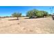 Vast backyard with scattered trees, power lines in view at 22222 W Lower Buckeye Rd, Buckeye, AZ 85326