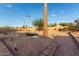 Dry desert landscaping with brick perimeter around property and large palm tree at 2319 N 58Th St, Scottsdale, AZ 85257