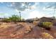 Sprawling backyard with dry desert landscaping and mature trees at 2319 N 58Th St, Scottsdale, AZ 85257