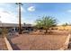 Large dry desert landscaping in backyard with a variety of desert foliage and large palm tree at 2319 N 58Th St, Scottsdale, AZ 85257