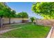 Enclosed side yard for pets features fruit trees and an irrigation system at 2350 E Melrose St, Gilbert, AZ 85297