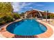 Inviting backyard swimming pool with mature landscaping and covered patio area at 24813 N 55Th Dr, Glendale, AZ 85310