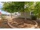 Desert landscaping featuring green trees with brick lined beds at 3802 N 50Th Ave, Phoenix, AZ 85031