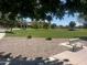 Green neighborhood park with a gravel walking path, bench, and grassy field at 3910 E Turley St, Gilbert, AZ 85295