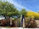Lush backyard featuring vibrant flowers and mature trees, perfect for outdoor enjoyment at 4554 E Coyote Wash Dr, Cave Creek, AZ 85331