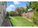Lush backyard featuring green turf, trees, and a well-maintained fence, ideal for relaxation and play at 4554 E Coyote Wash Dr, Cave Creek, AZ 85331