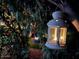 A decorative lantern hangs from a tree branch, illuminating a garden with lush greenery and a glimpse of a person at 4554 E Coyote Wash Dr, Cave Creek, AZ 85331