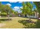 Backyard with healthy green lawn and mature trees beneath a bright blue sky at 4808 E Betty Elyse Ln, Scottsdale, AZ 85254