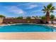 Backyard pool with mature palm tree, and landscaped surroundings, creating a serene and private oasis at 5721 W Palo Verde Ave, Glendale, AZ 85302