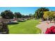 Expansive backyard featuring lush green grass, mature trees, and a beautifully landscaped border at 5830 E Mckellips Rd # 120, Mesa, AZ 85215