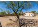 Large back yard with desert landscaping and mature shade trees at 649 S Temple St, Mesa, AZ 85204