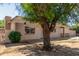 Tan home with a large tree blocking most of the front yard with a view of the front door at 649 S Temple St, Mesa, AZ 85204