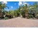 Long, paved driveway leading to a private estate, lined with palm trees and greenery at 6624 N 66Th N Pl, Paradise Valley, AZ 85253