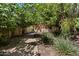 Landscaped front yard with mature trees, and a stone path leading to the home at 6624 N 66Th N Pl, Paradise Valley, AZ 85253